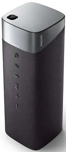 Philips speaker TAS5505