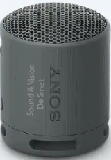 Sony SRSXB100B