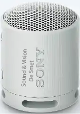 Sony SRSXB100H